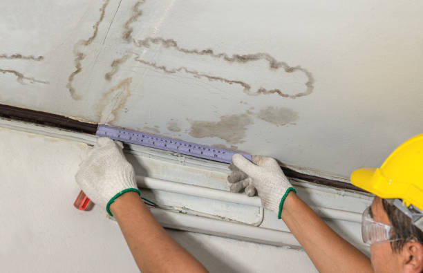 Reliable Burst Pipe Cleanup contractor in Victoria, MN by Water Damage Irwin